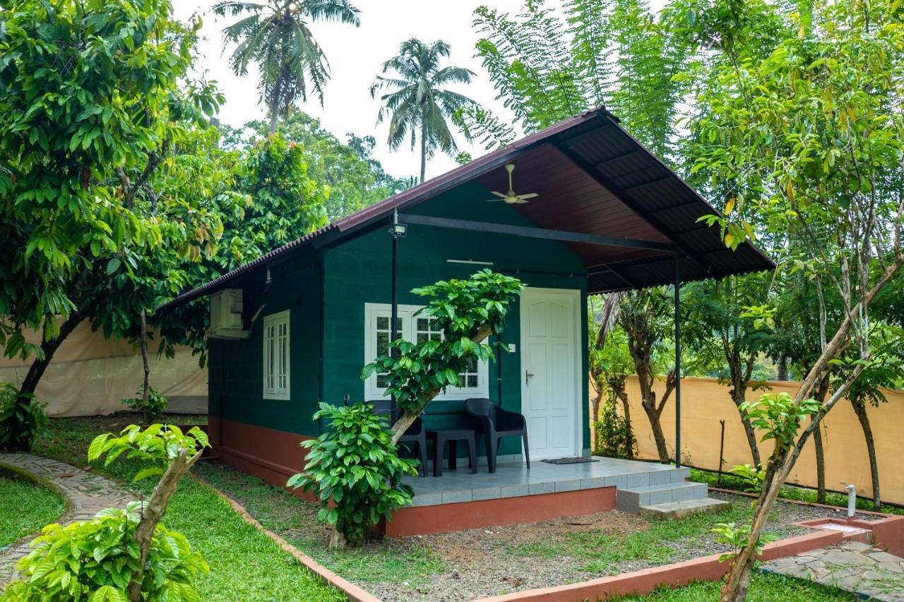 The Nest Thattekad Thattakad Exterior photo