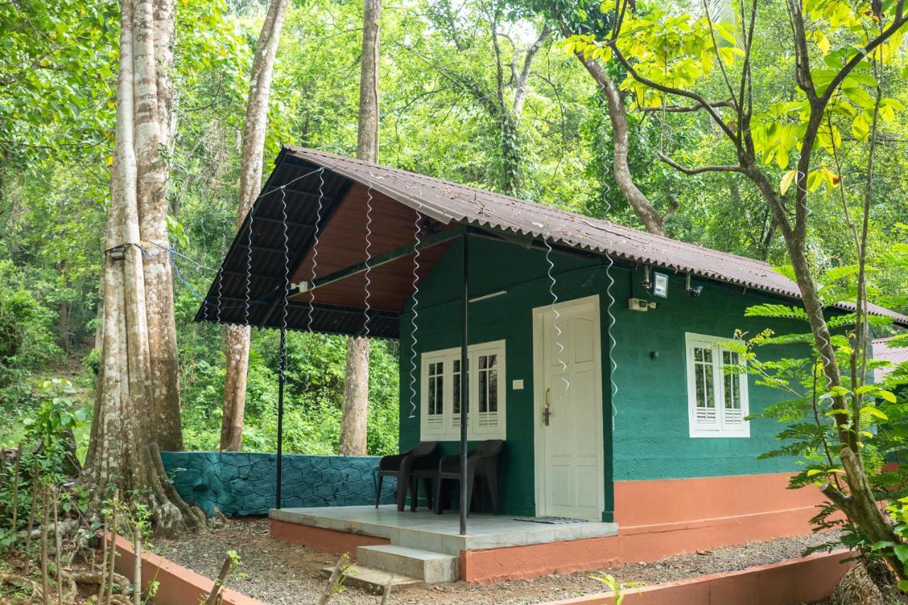 The Nest Thattekad Thattakad Exterior photo